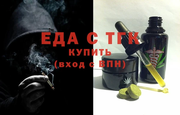 индика Нягань