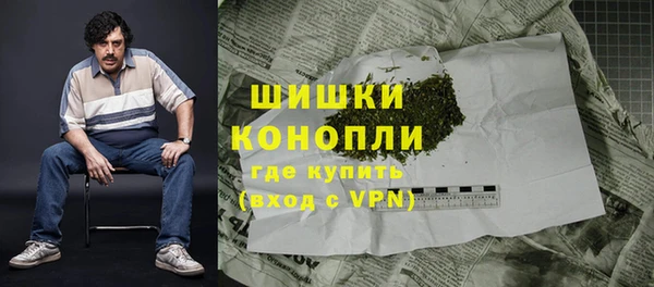 spice Аркадак