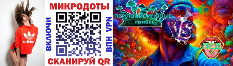 Псилоцибиновые грибы Psilocybe  Кашира 