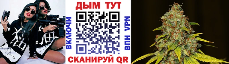 Бошки Шишки ГИДРОПОН Кашира